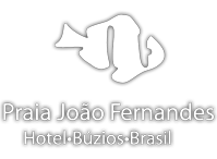 logo branca 1920w